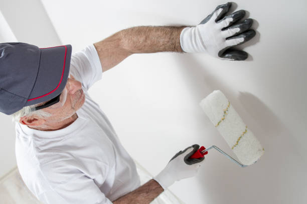 Biohazard Mold Removal in Wolf Lake, MI