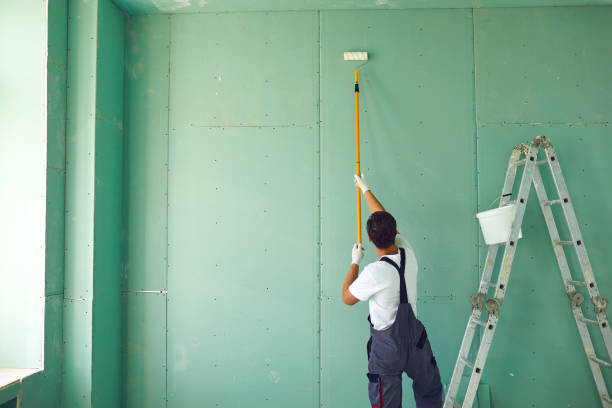 Best Mold Odor Removal Services  in Wolf Lake, MI