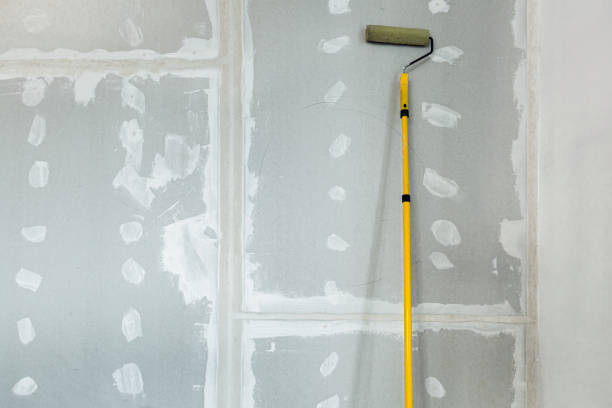  Wolf Lake, MI Mold Removal Pros