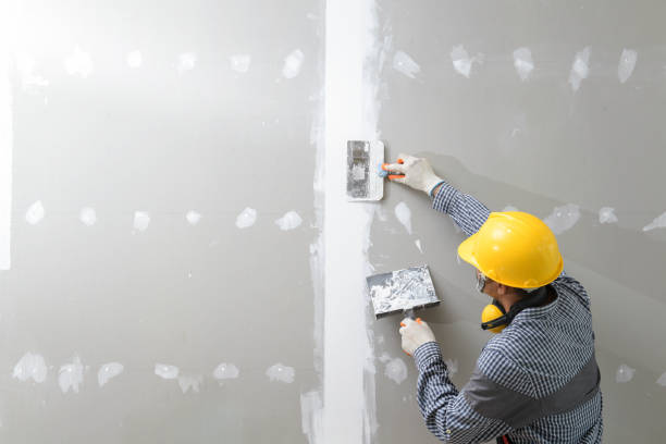 Best Asbestos and Lead Testing During Mold Inspection  in Wolf Lake, MI