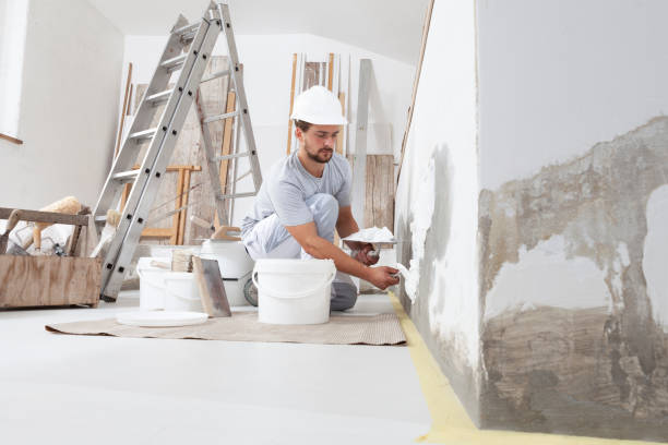 Best Attic Mold Removal  in Wolf Lake, MI