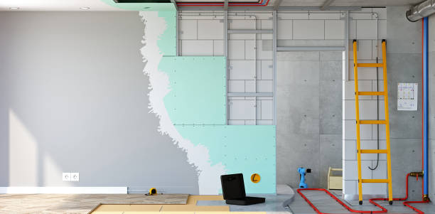 Best Post-Construction Mold Inspection  in Wolf Lake, MI
