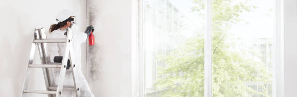 Best Mold-Related Health Consultation  in Wolf Lake, MI