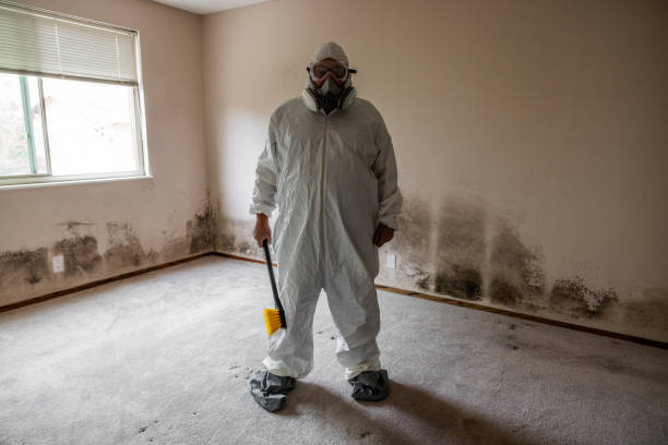 Best Forensic Mold Investigation  in Wolf Lake, MI