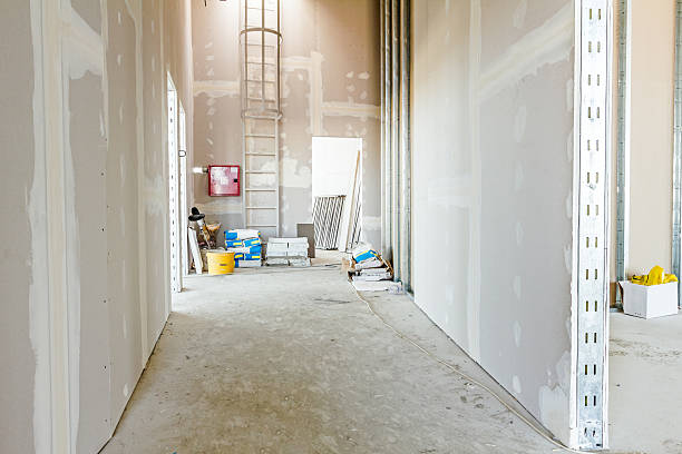 Best Basement Mold Removal  in Wolf Lake, MI