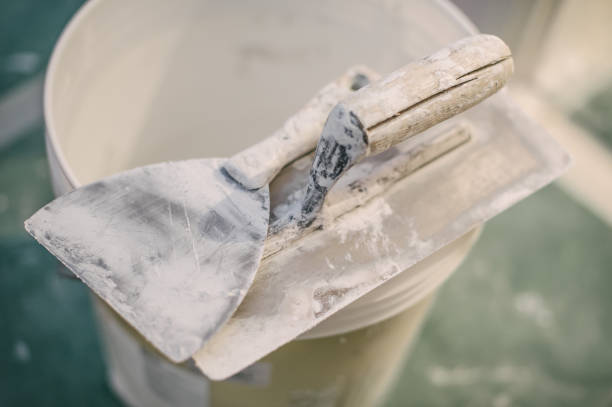 Best Air Quality Testing for Mold Spores  in Wolf Lake, MI